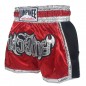 Lumpinee Muay Thai Shorts : LUM-023